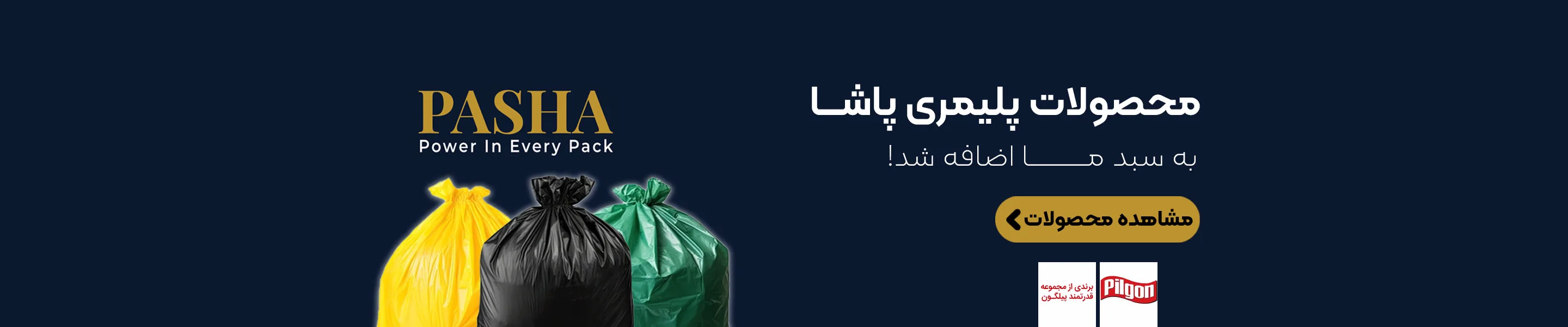 پاشا