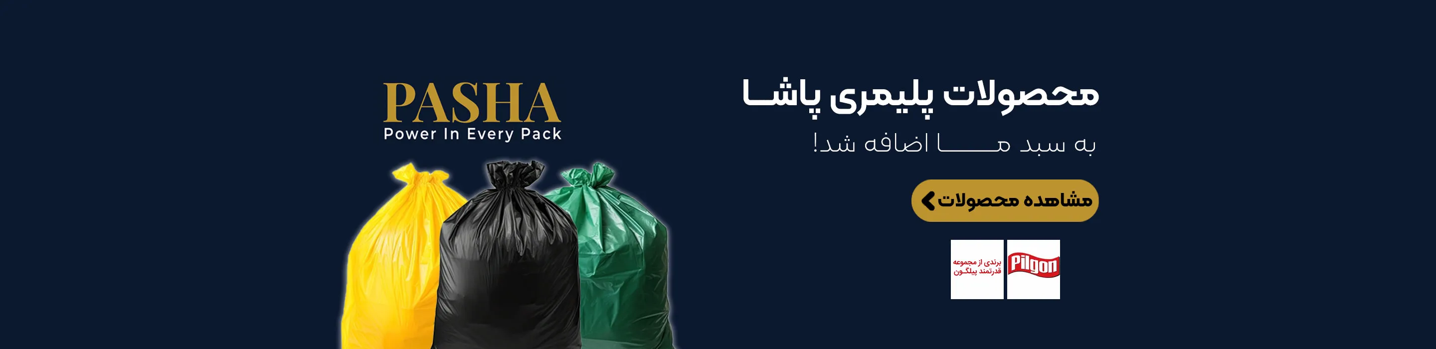 پاشا