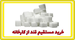 خرید مستقیم قند از کارخانه